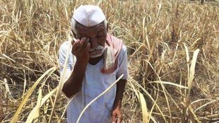 Maharashtra farmers