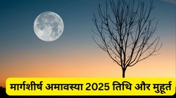 Margashirsha Amavasya 2025: 19 या 20 नवंबर, किस दिन मनाई जाएगी मार्गशीर्ष अमावस्या? जानिए सही तिथि, पूजा का मुहूर्त और पूजन विधि