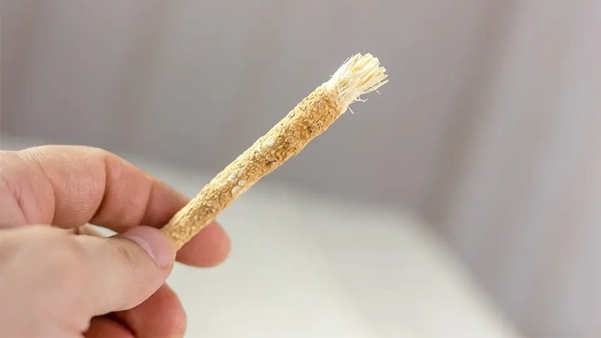 Miswak tooth brush