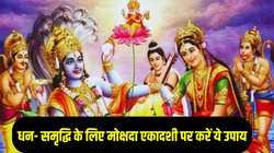 Mokshada Ekadashi Upay 2025: मोक्षदा एकादशी पर करें तुलसी से जुड़े ये उपाय, मां लक्ष्मी होंगी प्रसन्न, धन- समृद्धि की होगी प्राप्ति