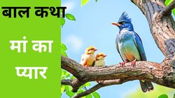 दिनेश विजयवर्गीय की बालकथा: नंदनवन की तीन चिड़ियां- प्यार, आंसू और नई मां का जादू