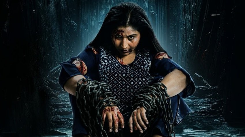 Naa Ninna Bidalaare (2024)