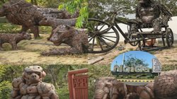 नोएडा का अनोखा ‘जंगल ट्रेल पार्क’ आखिर खुलने को तैयार, 1 दिसंबर से बदलेगा शहर का सैर-सपाटा अनुभव