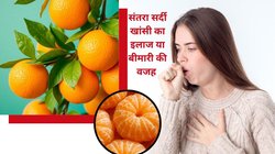 सर्दी में रोज़ 1 संतरे का सेवन करें तो क्या सर्दी जुकाम होता है? सर्दी में Orange खाने से सेहत में कौन-कौन से बदलाव आते हैं, जानिए