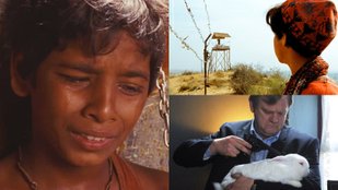 Oscar-Nominated Short Films You Can Watch for Free on YouTube Right Now