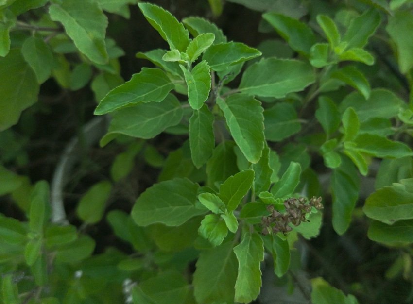 Positive energy at home