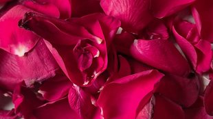 Rose petals face pack, glowing skin, glowing skin in winters