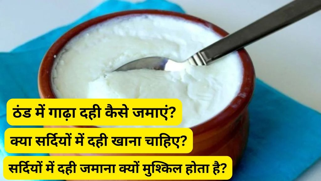 Sardi mai dahi kaise jamaye | How to Set Thick Yogurt in Cold Weather | How to make thick curd