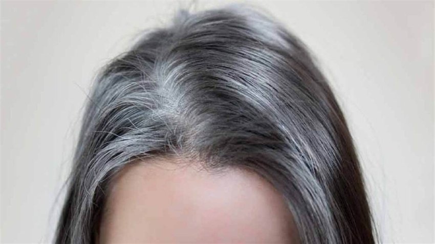 Say Goodbye to Grey Hair 5 Natural Herbs That Bring Back Dark Healthy Hair