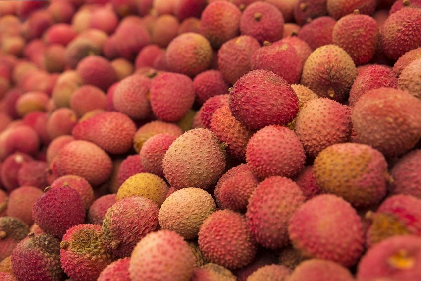 Shahi Litchi Bihar