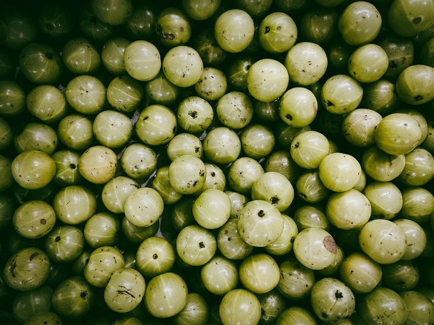 Skin hydration shots