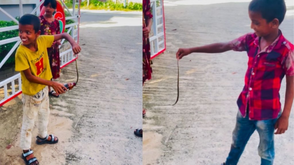 Snake Viral Video, Viral Video, Trending Video Snake Viral Video, Viral Video, Trending Video