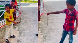 बड़े खतरनाक लोग हैं यार… सांप से खिलौने की तरह खेलते दिखे बच्चे, पूंछ पकड़कर कोल्ड ड्रिंक की बोतल में किया बंद, देखें Viral Video