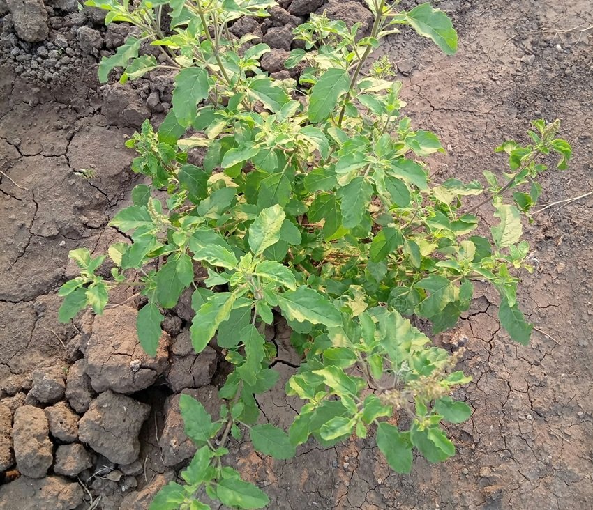 Soul liberation Hinduism