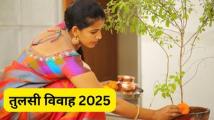 Tulsi Vivah 2025 date, Tulsi Vivah kab hai, Tulsi Vivah 2025 tithi aur muhurat, Tulsi Vivah 2 November ya 3 November, Tulsi Vivah shubh muhurat 2025, Tulsi Vivah kab manaya jata hai, Tulsi Vivah puja Vidhi, tulsi Vivah 2025 Panchang, Tulsi Vivah 2025 drik panchang, Tulsi Vivah puja samagri list, Tulsi Vivah puja ka samay, Tulsi Vivah vrat katha, Dev Uthani Ekadashi 2025 date and time, Tulsi Shaligram Vivah 2025, 2 ya 3 November 2025 ko Tulsi Vivah kab manaya jayega, Tulsi Vivah 2025 ke shubh muhurat aur Vidhi, Tulsi Vivah 2025 muhurat hindi mein, Tulsi Vivah ke din kya kare aur kya na kare, Drik Panchang ke anusaar Tulsi Vivah 2025 ki sahi tithi,