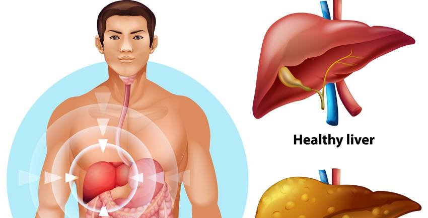 Liver care nutrition tips