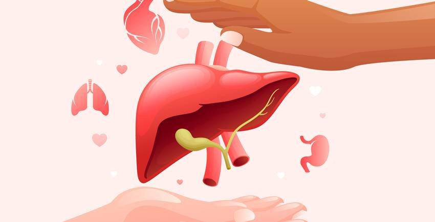 Which vitamin causes liver damage