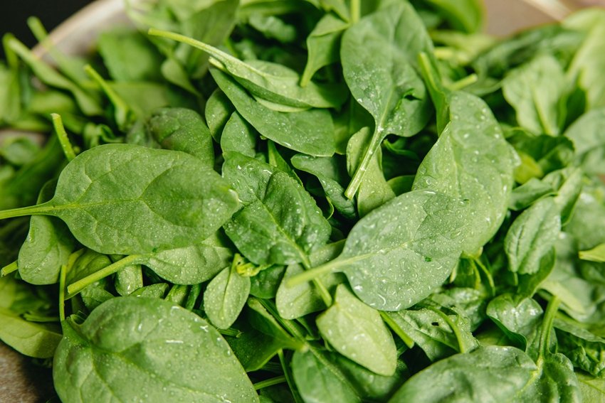 Who should avoid spinach