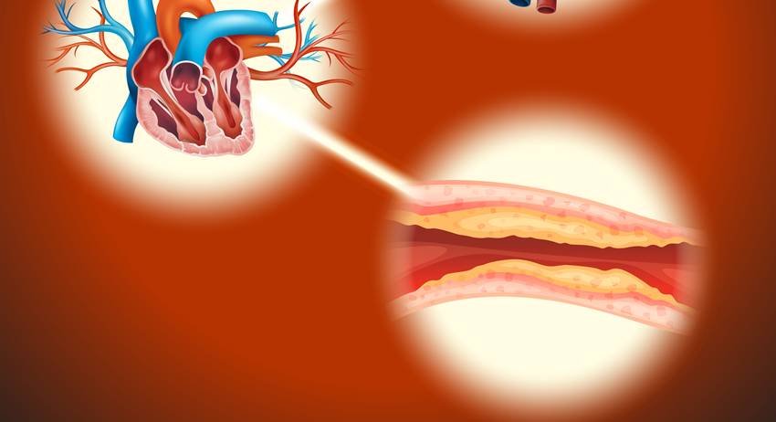 medicinal properties of honey