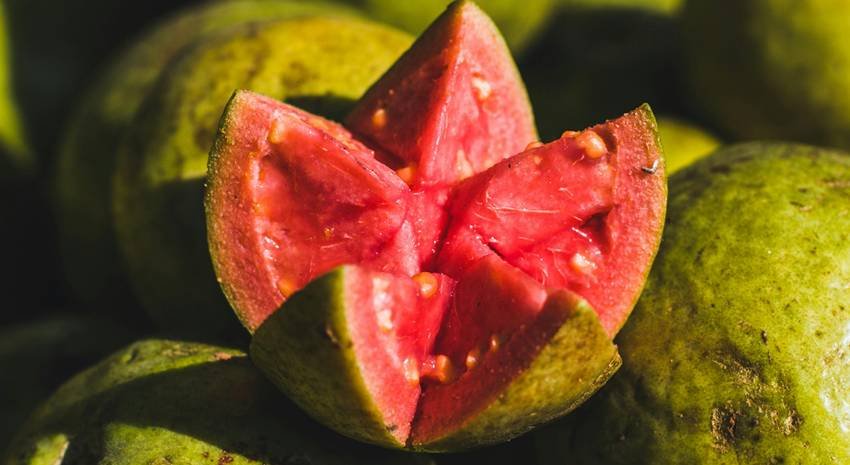 top winter superfruits