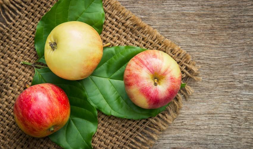 immunity boosting fruits in winter