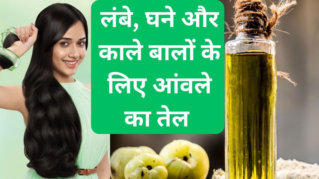 How to make Amla oil for long thick and black hair | aanwale ka tel kaise banta hai | Homemade amla hair oil How to make Amla oil for long thick and black hair | aanwale ka tel kaise banta hai | Homemade amla hair oil