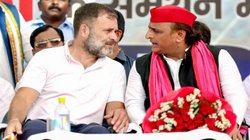 ‘अखिलेश यादव को करना चाहिए इंडिया ब्लॉक का नेतृत्व’, बिहार में कांग्रेस की करारी हार के बाद चर्चा तेज