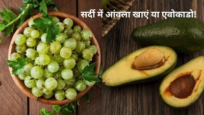 आंवला और एवोकाडो दोनों ही सुपरफूड, लेकिन सर्दी में किस फूड को खाएं