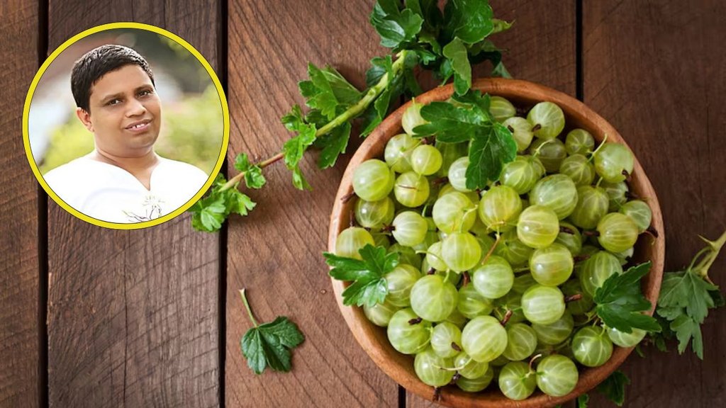 amla, amla benifit, health news