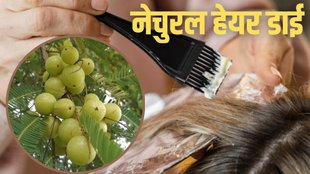 amla powder, natural hair dye, amla se banaye natural hair dye