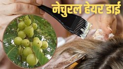 घर पर कैसे बनाएं नेचुरल हेयर डाई? इस तरह एक भी नहीं दिखेंगे सफेद बाल