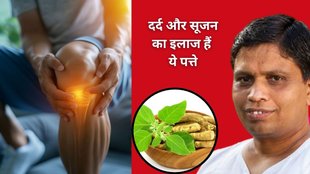 Ashwagandha leaves benefits, Ashwagandha for weight loss, Ashwagandha for swelling and pain, Ayurvedic uses of Ashwagandha, Ashwagandha leaves for heart health