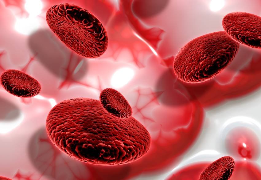 Goat milk for digestion