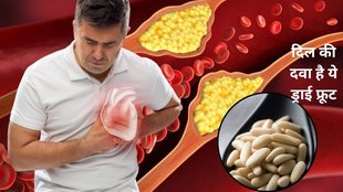 Pine Nuts Benefits, amazing benefits of pine nuts, benefits of pine nuts, pine nuts for sugar, benefits of pine nuts for bp, pine nuts for skin, chilgoza seeds,