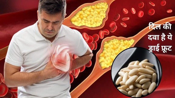 Pine Nuts Benefits, amazing benefits of pine nuts, benefits of pine nuts, pine nuts for sugar, benefits of pine nuts for bp, pine nuts for skin, chilgoza seeds,