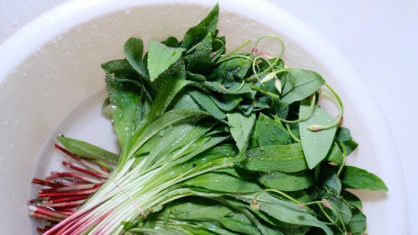 cleaning tips for leafy greens