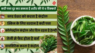 करीपत्ता, Curry Leaves Benefits, Health Tips, Healthy Living, Natural Remedies, Herbal Medicine, Wellness Tips, Nutrition Facts, करी पत्ता क्या पाचन को ठीक करता है,