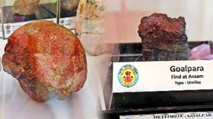 dinosaur egg, trade fairs,