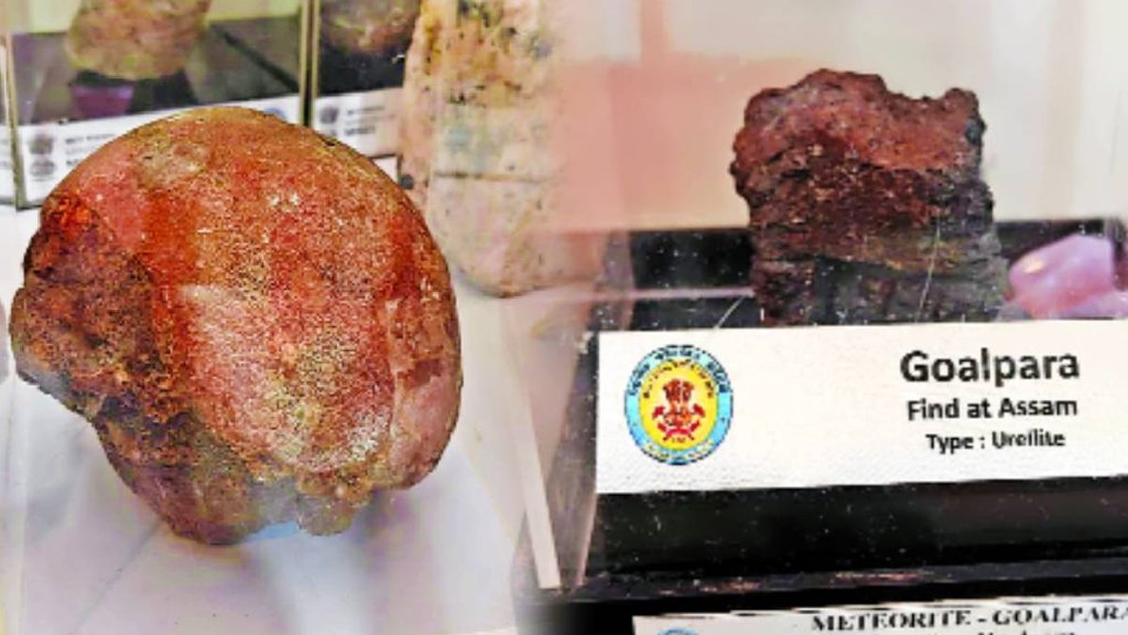 dinosaur egg, trade fairs, dinosaur egg, trade fairs,