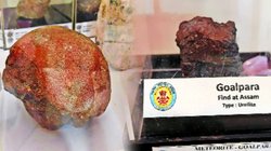 शाकाहारी डायनासोर का अंडा और उल्कापिंड बना आकर्षण का केंद्र, दिल्ली ट्रेड फेयर में दुनिया भर के सामान उपलब्ध