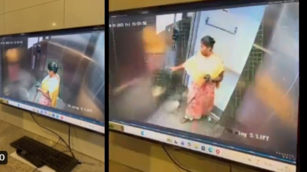 Bengaluru News, Dog murder, Dog murder lift News Bengaluru News, Dog murder, Dog murder lift News