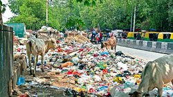 Blog: ई-कचरे से उपजे संकट का बढ़ता दायरा, भारत सहित दुनिया के कई देशों के लिए नष्ट करना हो रहा मुश्किल