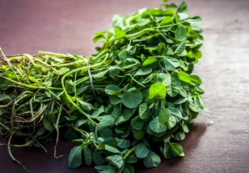 fenugreek leaves