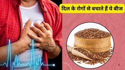 रात में भिगोएं 1 चम्मच अलसी बीज और सुबह करें सेवन, पाचन होगा दुरुस्त और कैंसर से भी मिलेगी सुरक्षा, डॉक्टर ने बताएं साइंस प्रूव्ड हेल्थ बेनिफिट्स