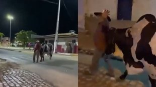 Funny Viral Video, Viral Video, Trending Video