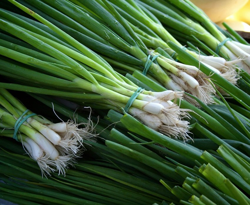 green onion