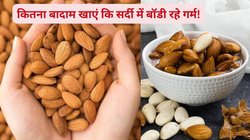 सर्दी में अमृत है बादाम, लेकिन रोज़ कितना खाएं ? 1 मुट्ठी या 2 मुट्ठी, कितना Almond सेहत के लिए है सुरक्षित