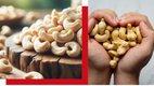 cashew nuts benefits, cashew winter health, daily cashew snack, cashew immunity boost, cashew nutrition,काजू फायदे, सर्दी में काजू,