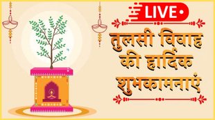 Tulsi Vivah 2025, Tulsi Vivah 2025 Wishes LIVE, Tulsi Vivah 2025 Wishes, tulsi vivah 2025 LIVE quotes