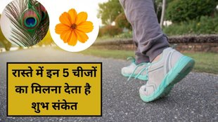 Shakun Shastra, lucky things found on road, sadak pe padi bhagya badalne wali shubh cheej, सड़क पर पड़ी लकी चीज, रास्ते पर पड़ा सिक्का या नोट का मतलब, रास्ते पर अनाज की बालियां देखने का मतलब, रास्ते में फूल या फल देखने का मतलब, रास्ते में मोर पंख देखने का मतलब, Shakun Shastra meaning, Shakun Shastra for lucky things, shubh sanket, jyotish shastra, astrology tips